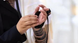 האם מניחים תפילין בתענית אסתר?