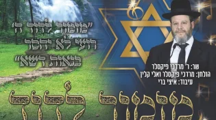 מרדכי פיקסלר - ״מזמור לדוד״