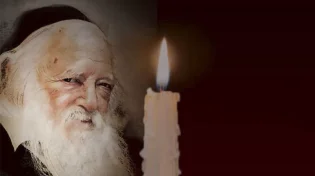 לחפש את הזיכרון: האישיות שהכילה עם שלם מכל גווניו