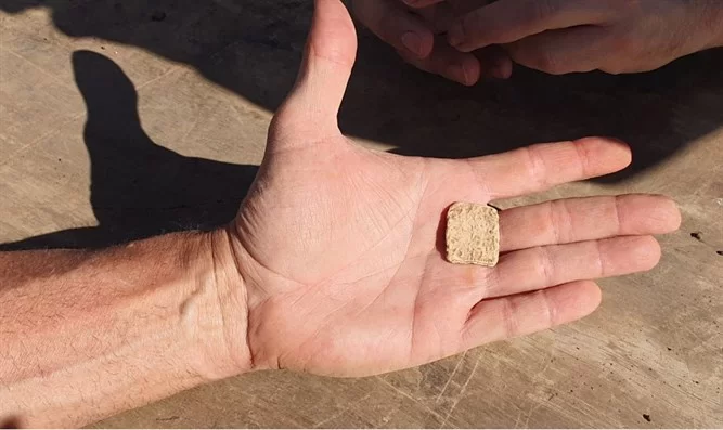 "קיבלנו ד"ש מתקופת התנ"ך" - נחשפה "קללה" בת 3,200 מהר הקללה