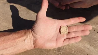 "קיבלנו ד"ש מתקופת התנ"ך" - נחשפה "קללה" בת 3,200 מהר הקללה
