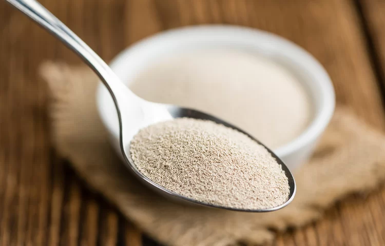 האם מותר שמרים בפסח? האם שמרים כשרים לפסח? האם מותר שמרים בפסח? האם שמרים כשרים לפסח?