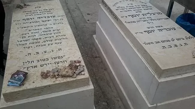 תינוקות של בית רבן בזעקה בציונו של מרן