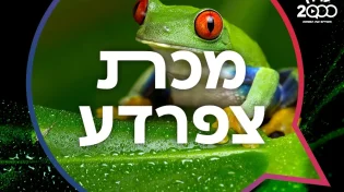 צפרדע קסמים: הפלא שהרס מדינה שלמה 
