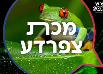 מכת צפרדע: מדרש על מכת צפרדע