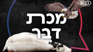 כלכלת מצרים נופלת: המשמעות של מכת דבר