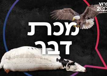 מכת דבר: מדרש על מכת דבר