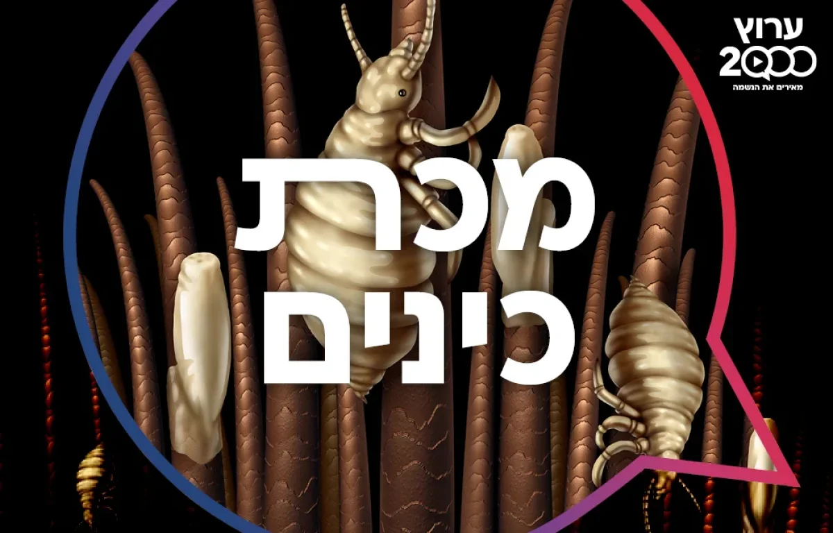 מכת כינים: מדרש על מכת כינים