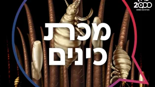 כל כינה בגודל של ביצה: מאחורי הקלעים של מכת כינים