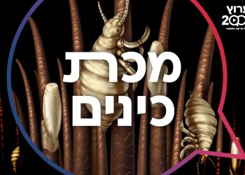 מכת כינים: מדרש על מכת כינים