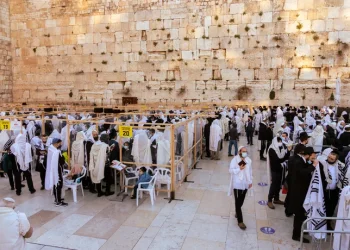 האם אומרים הלל בחול המועד פסח? הלל בחול המועד פסח