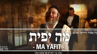 מרטין וידרקר ודודי קאליש - "מה יפית"