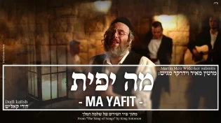 מרטין וידרקר ודודי קאליש - "מה יפית"