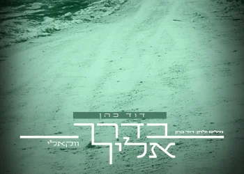 דוד כהן - "בדרך אליך"