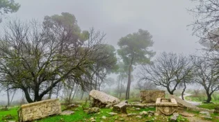 אימא ל-6 התגלתה לילדים שלה בחלום: "אני לא מוחלת לכם!"