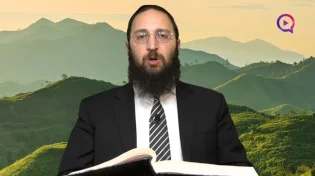 דף יומי: הדף היומי לצפייה - יבמות ס"ב - ז' אייר
