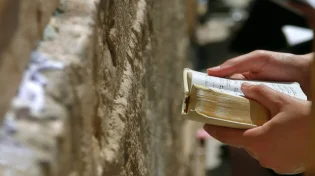 האם מותר לקרוא תהילים בתשעה באב?