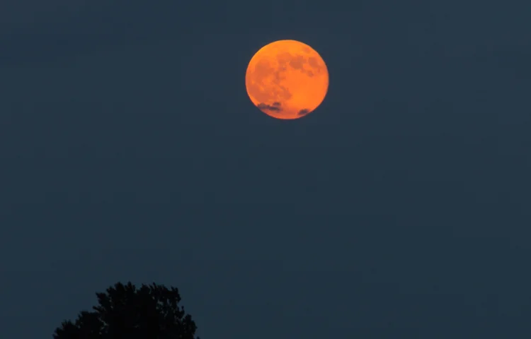 התופעה החדשה שנחתה באירופה: 'הירח האדום' התופעה החדשה שנחתה באירופה: 'הירח האדום'