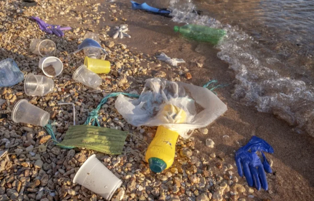 מהלך תקדימי ומסוכן: גזירת החד פעמי גם בחופי הרחצה