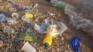 מהלך תקדימי ומסוכן: גזירת החד פעמי גם בחופי הרחצה