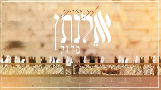 אלנתן מלול - 'אתה בחרתנו'