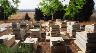 אין גבול: נוצרייה נקברה בבית קברות יהודי ובג"ץ התערב