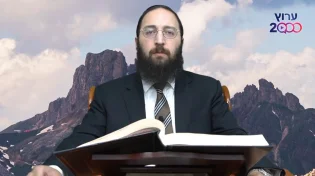 דף יומי: הדף היומי לצפייה - יבמות ע"א - ט"ז אייר