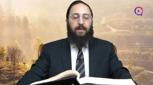דף יומי: הדף היומי לצפייה - יבמות ע"ו - כ"א אייר