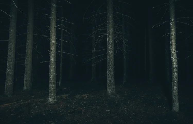 מפחיד: גילוי מעולם האמת: הנשמה הגיעה ודרשה תיקון מפחיד: גילוי מעולם האמת: הנשמה הגיעה ודרשה תיקון