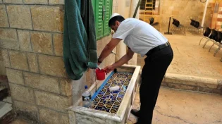 האם מותר ליטול ידיים בכיור בשירותים?