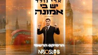 ארי גולד ו-Dj ניסו סלוב - 'יש בי אמונה' הרמיקס הרשמי