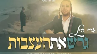 ארי היל - 'גרש את העצבות'