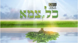 נועם רמתי - "כל צמא"
