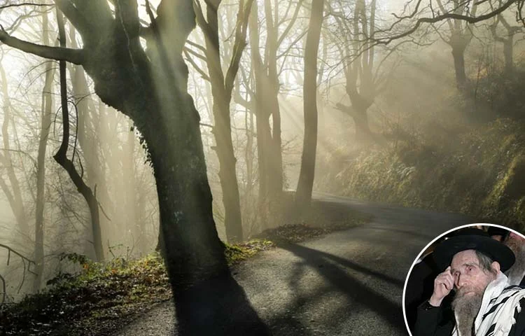 אולי כדאי להכיר את המעכב הגדול: גאווה כלפי שמיא אולי כדאי להכיר את המעכב הגדול: גאווה כלפי שמיא