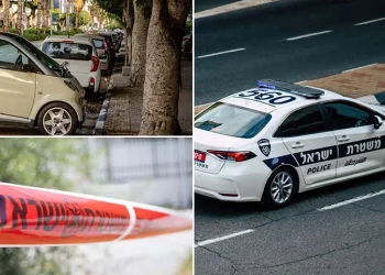 בלב רמת גן: ראש חזיר נמצא על גג של רכב