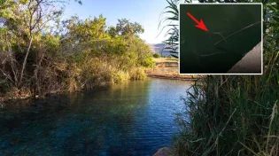 שימו לב 'לטריק' החדש: חוטי תיל מוחבאים בתוך מעיינות 