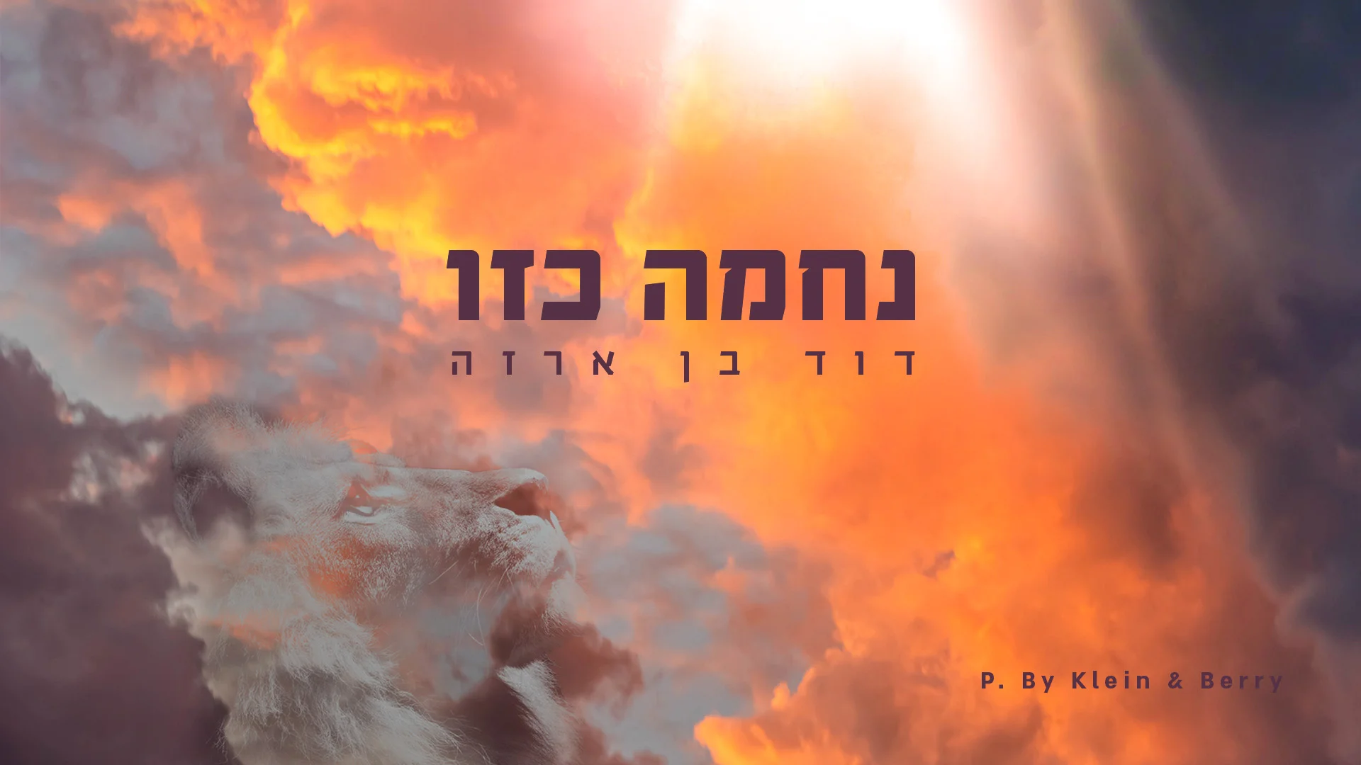 דוד בן ארזה: "נחמה כזו"