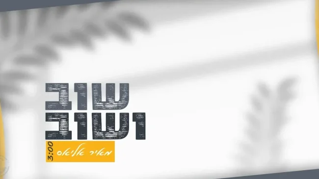מאיר אליאס - "שוב ושוב"