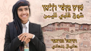 דניאל זנדאני - "שואו גלבי ללימן"