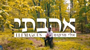 אלי מרקוס - ״אהבתי״