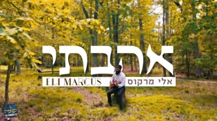 אלי מרקוס - ״אהבתי״
