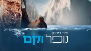 יואלי דיקמן - "נופל וקם"