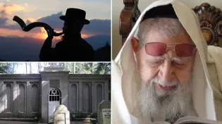 לדרגה של הגאון מווילנה. איך מגיעים אליה? סיפור על מרן