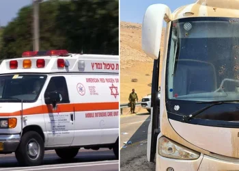 דיווח ראשוני: ארבעה פצועים בפיגוע ירי בבקעת הירדן 