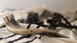 אדם ששומע באמצע התפילה תקיעת שופר - צריך לעצור ולהקשיב?