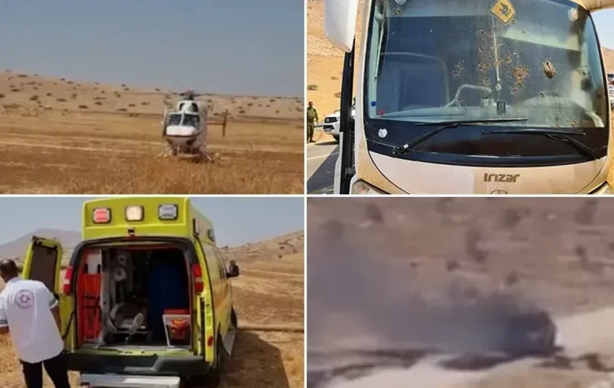 (צילום: באדיבות) (צילום: באדיבות)