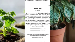 סיום שנת שמיטה: מה זה שטר פרוזבול?