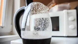 לנפץ את המיתוס: האבנית היא לא נוראית כמו שחשבתם