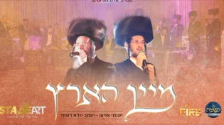לב טהור - 'מיין הארץ'