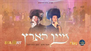 לב טהור - 'מיין הארץ'